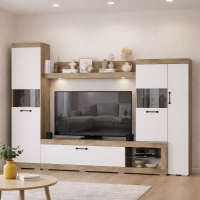 Гостиная Тесла ГС-01 (2,8м) дуб каньон/белый