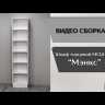 Шкаф торцевой Мэнкс МСШ-22 (250х2200х510мм) белый