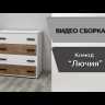Шкаф 2-х ств для спальни Лючия 850х2200х453мм белый/дуб крафт золотой