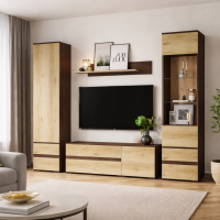 Гостиная Плейона венге/дуб делано