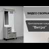 Центральная секция для прихожей Витра 800х2000х340мм белый/ателье светлое