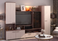 Гостиная Сиена 2,6м ясень шимо темный / светлый