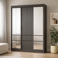 Симпл шкаф-купе ШКК-06 (1,6м) лдсп графит