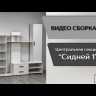 Центральная секция для гостиной Сидней-1 (1850х2000х430мм) белый/дуб крафт золотой